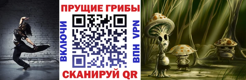Галлюциногенные грибы мухоморы  закладка  Наволоки 